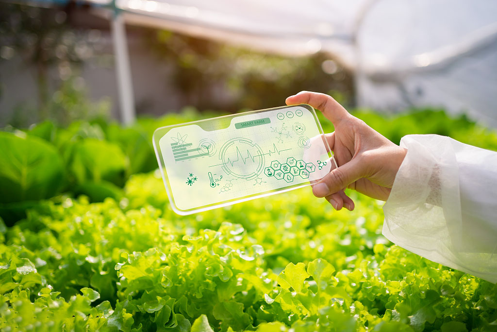 基于物聯(lián)網技術的智慧農業(yè)系統(tǒng)設計